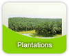 Plantations