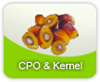 CPO & Kernel